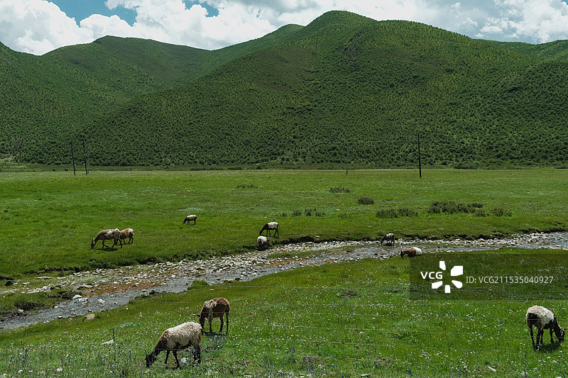 甘南舟曲县拉尕山景区图片素材