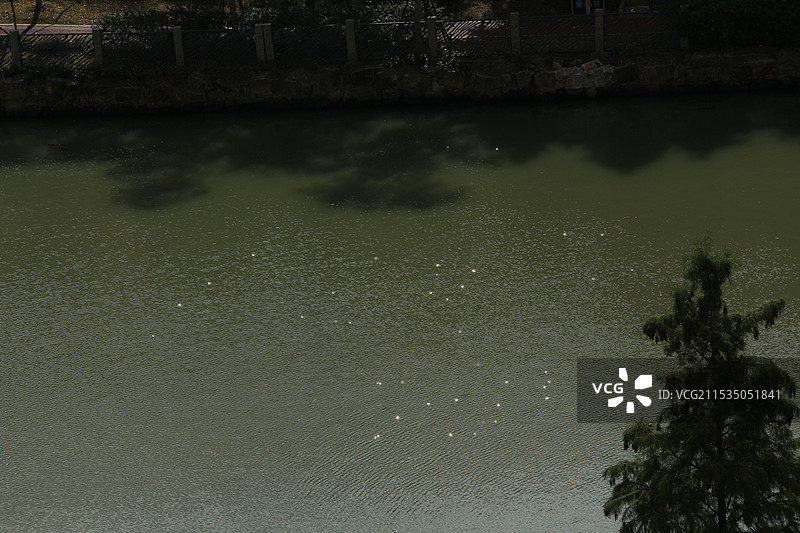 水面的光图片素材