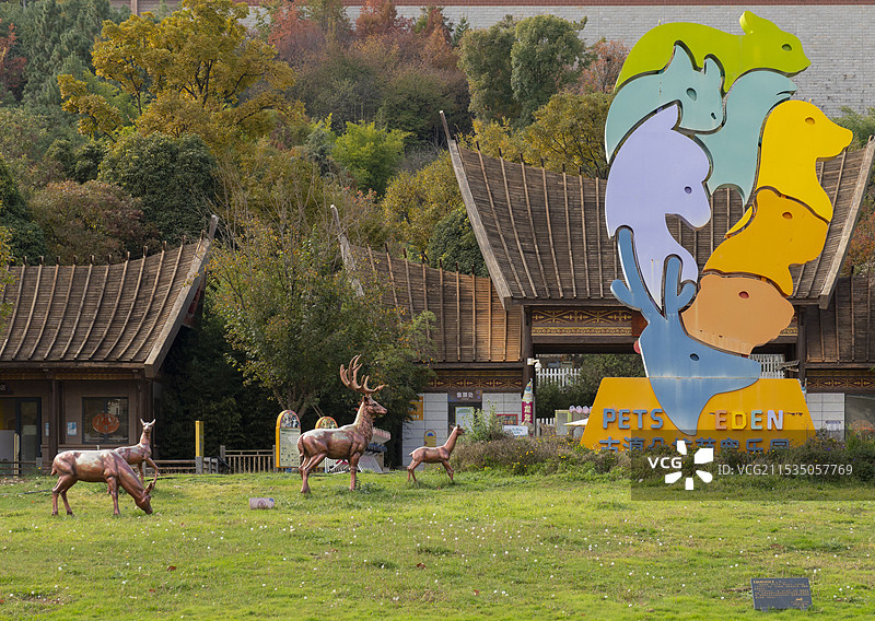 昆明朵拉萌宠乐园图片素材