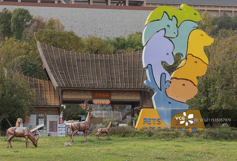 昆明朵拉萌宠乐园图片素材