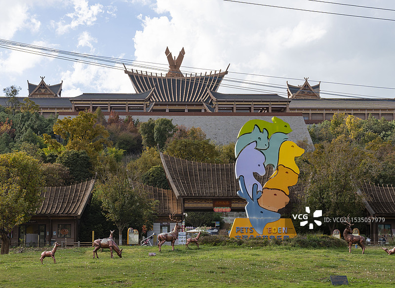 昆明朵拉萌宠乐园图片素材