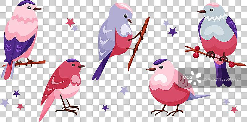 一组可爱的季节性小鸟，粉色和蓝色相间图片素材