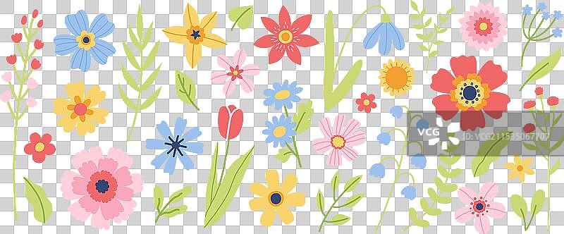 花卉合集图片素材