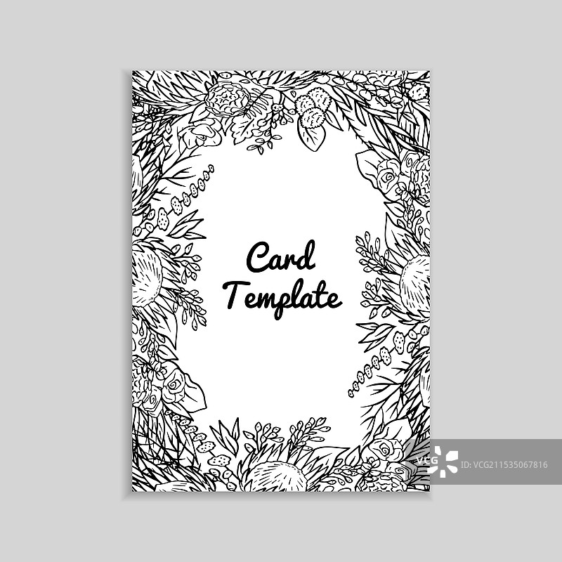 手绘单色线条艺术的普罗提亚花图片素材