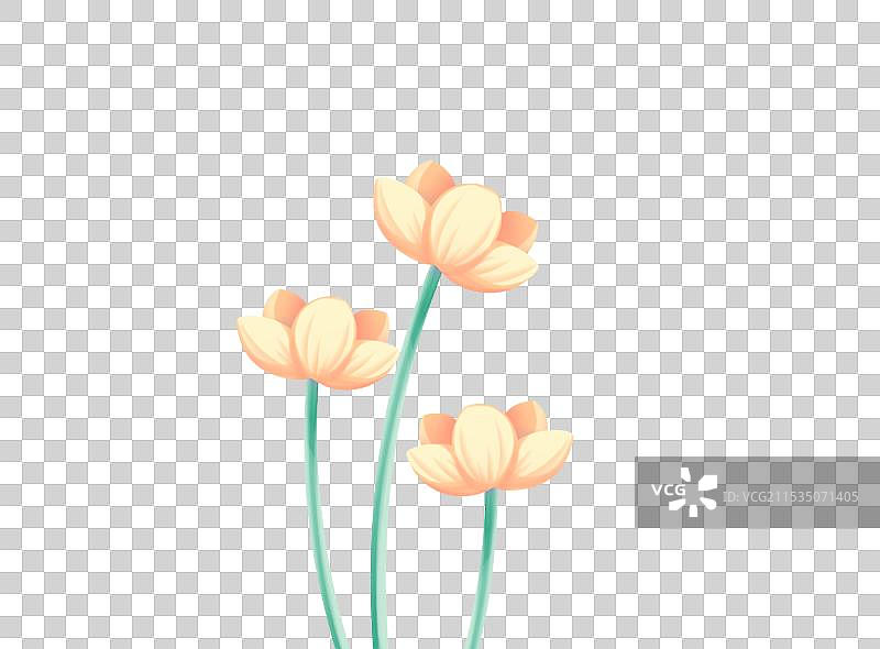 三朵绽放的黄色小花，清新卡通免扣元素图片素材