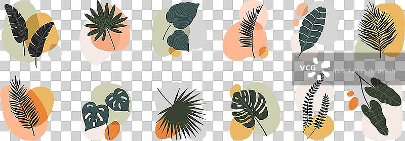抽象的波西米亚风格叶子和热带植物叶片图片素材