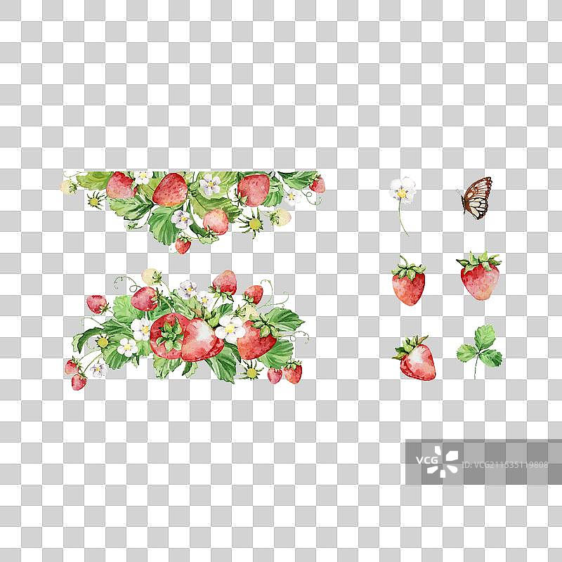 水彩草莓叶子和花朵组合图片素材