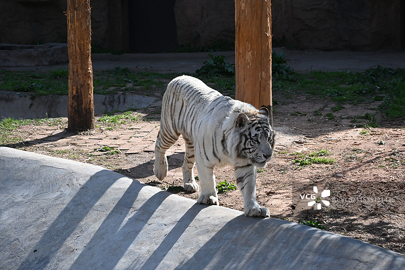 长沙生态动物园图片素材