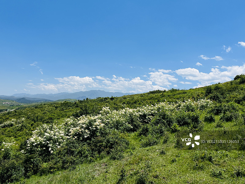 临夏县云上河州景区图片素材