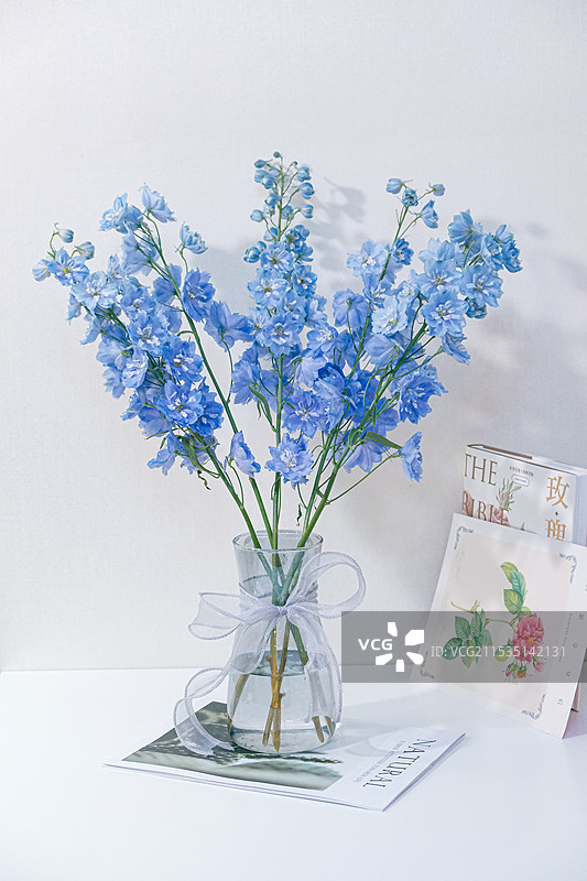 浅蓝色大飞燕图片素材