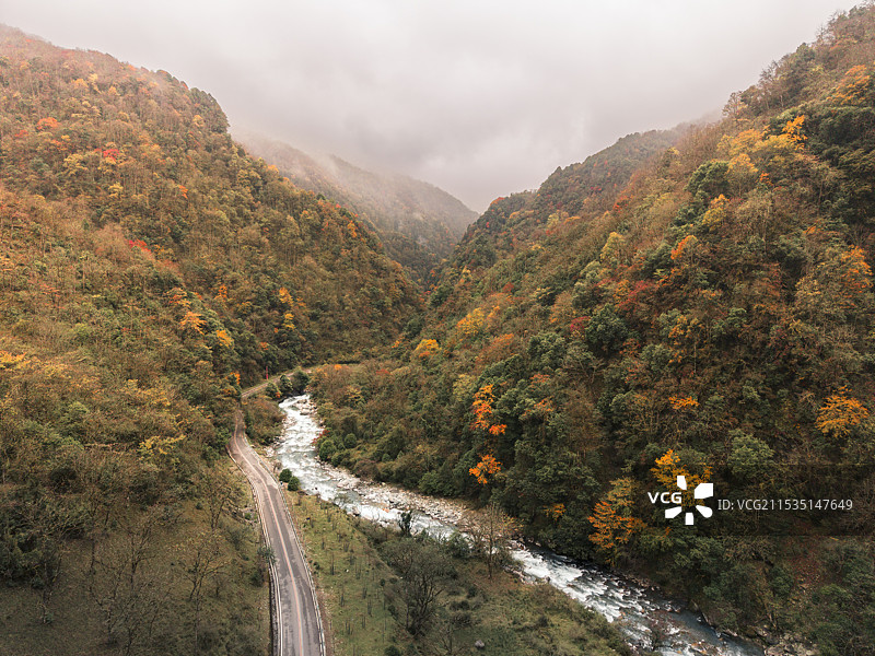 雅安二郎山·喇叭河景区图片素材