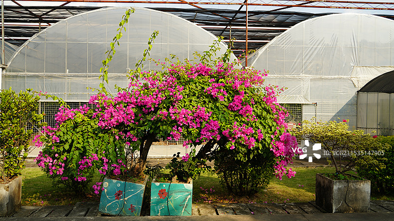 南宁广西八桂田园图片素材