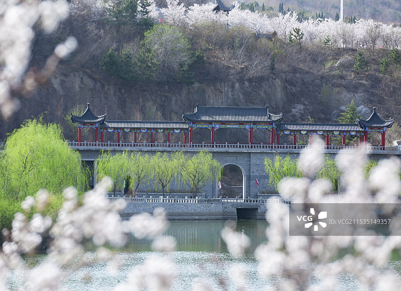 滨州市邹平樱花山旅游景区图片素材