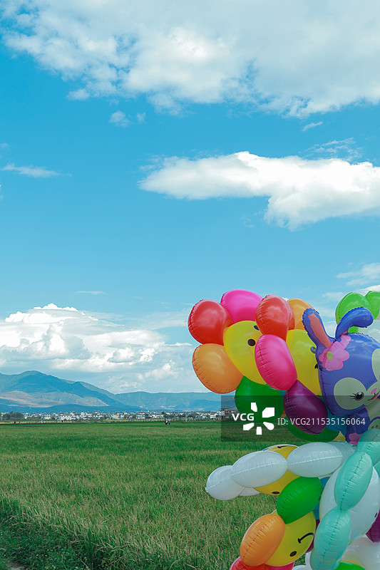 喜洲稻田与气球图片素材