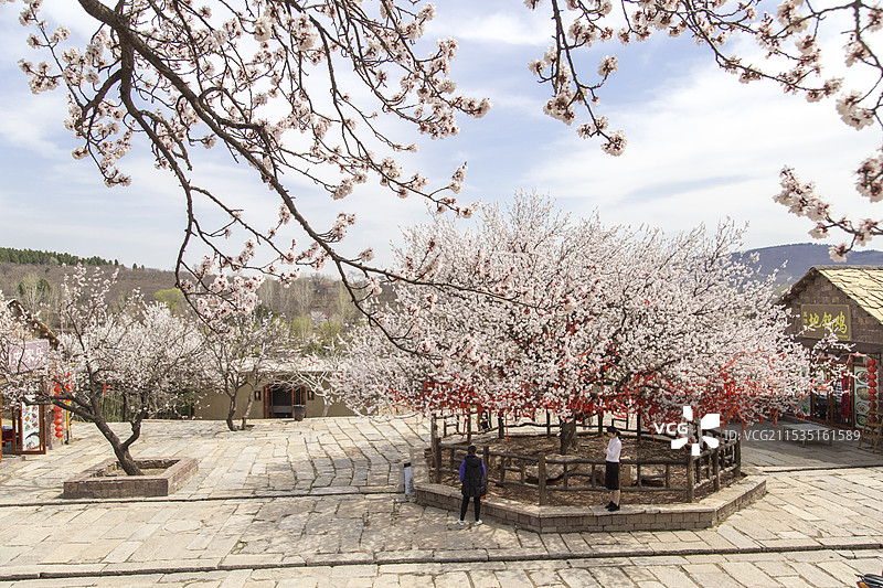 临沂市压油沟旅游区图片素材