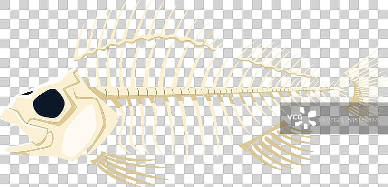 卡通鱼骨架，剥离了肉质图片素材
