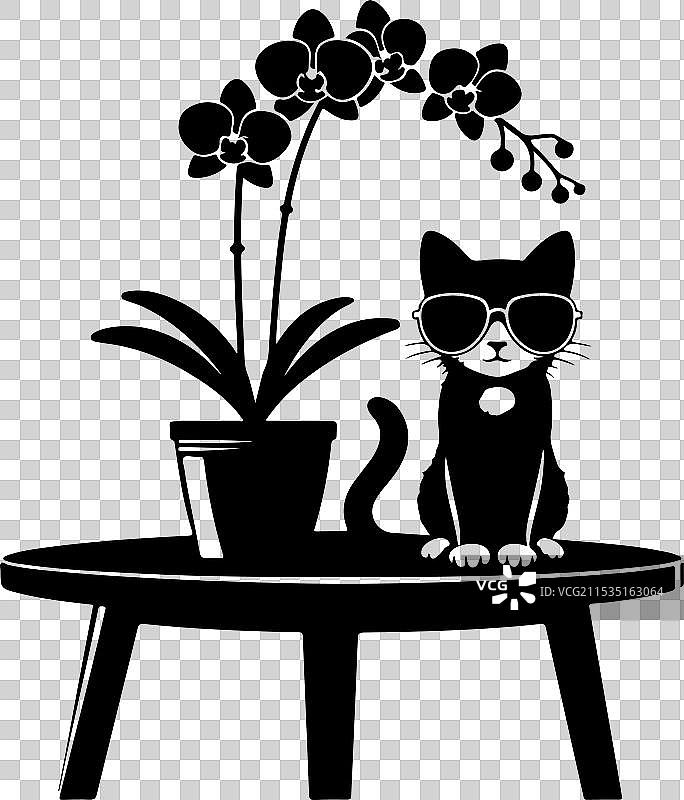 一只黑猫在桌子上休息图片素材