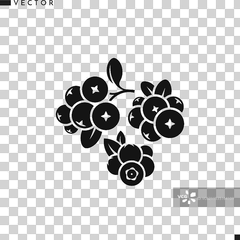 带叶子的浆果，蔓越莓和蓝莓图片素材