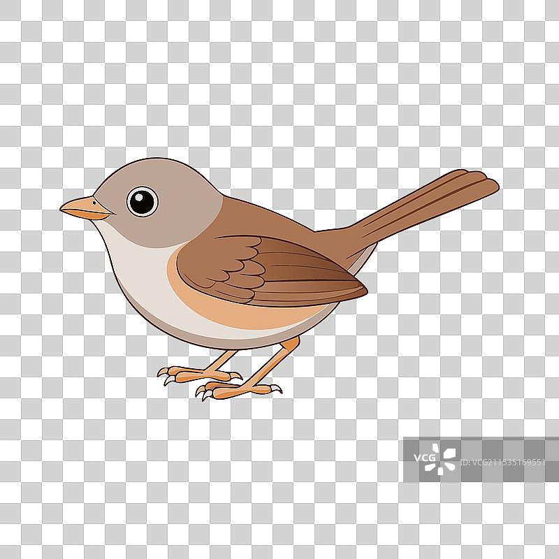 白喉鸟艺术剪影图片素材