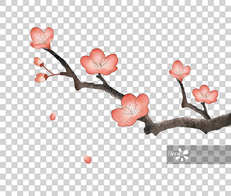 梅花树枝素材图片素材