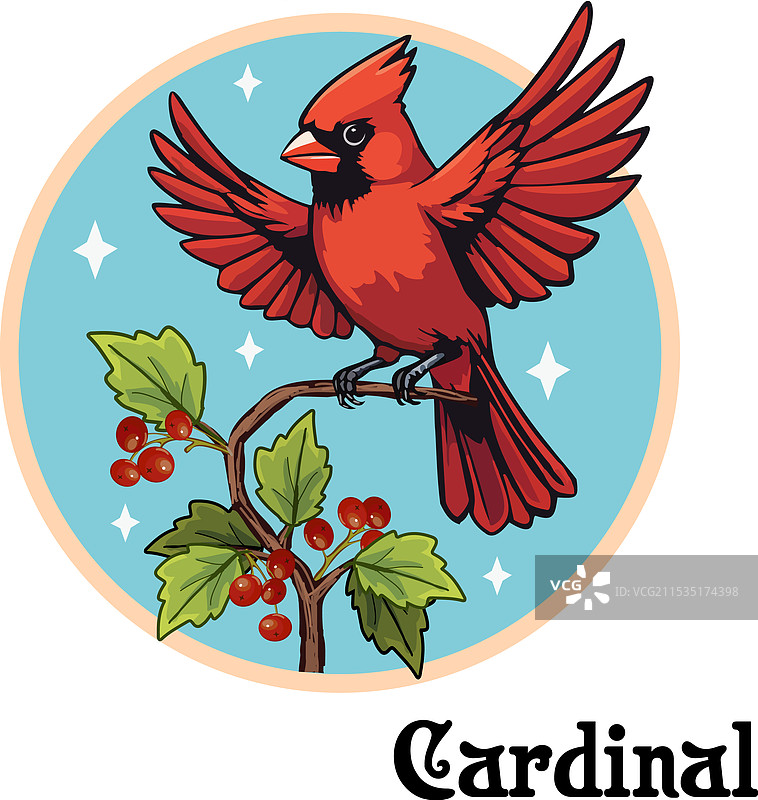 明亮的红雀在其中图片素材