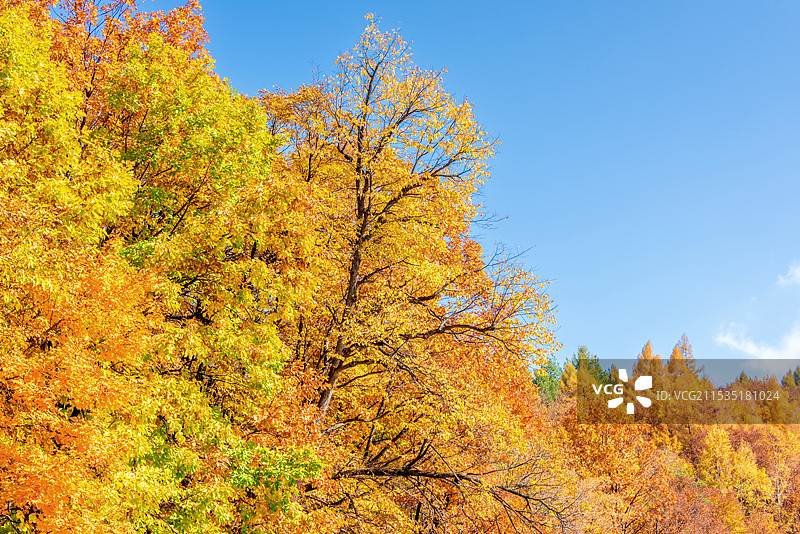 中国吉林通化辉南龙湾群大龙湾景区秋景图片素材