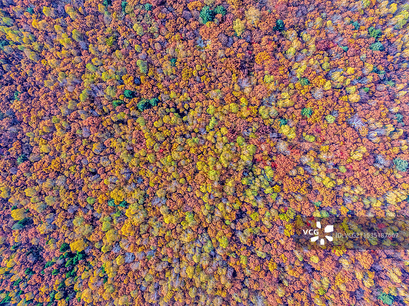 中国吉林通化辉南龙湾群大龙湾秋季森林航拍图片素材