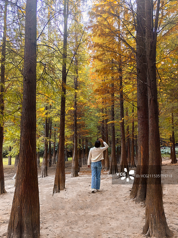 看秋色图片素材