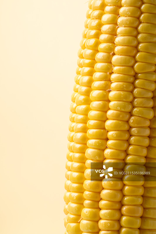 白色背景下玉米的特写镜头图片素材