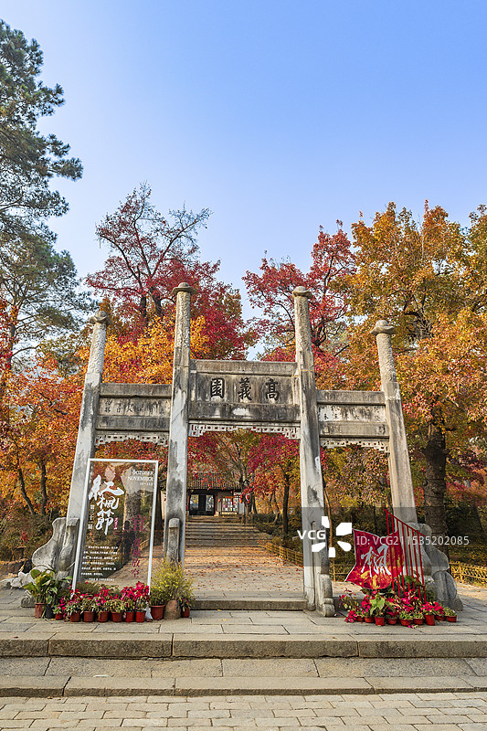 苏州天平山红枫图片素材