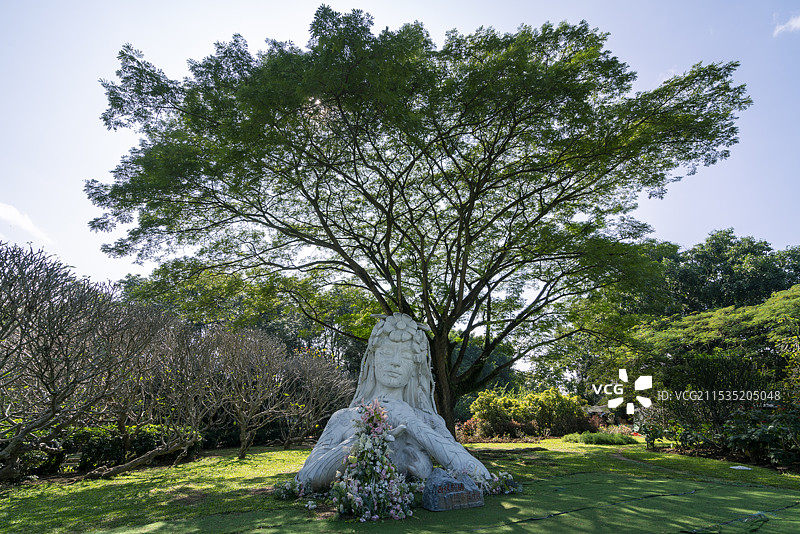西双版纳热带花卉园，热带花卉与热带植物园林景观图片素材