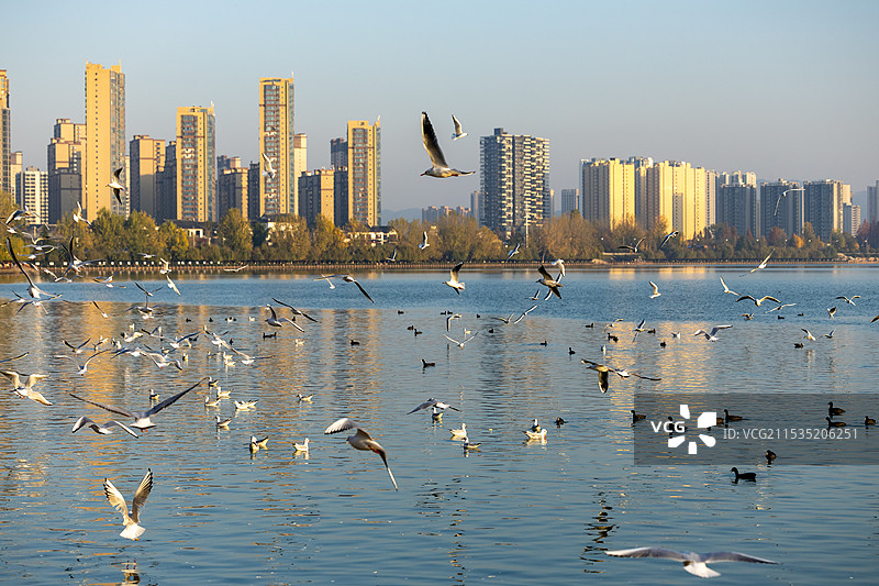 汉中汉江城市风光图片素材