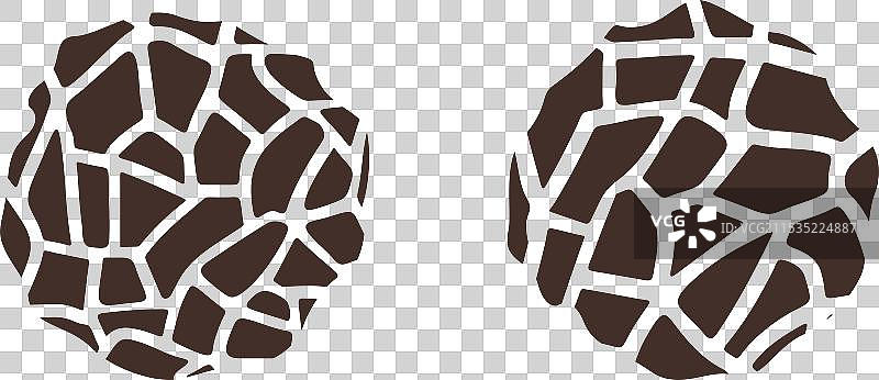 黑胡椒图片素材