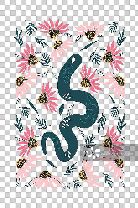 蛇与粉色锥花海报 花卉与图片素材