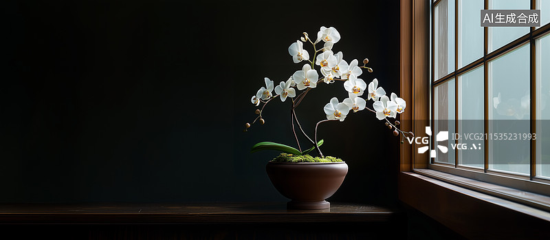 【AI数字艺术】一盆中式蝴蝶兰植物室内场景图片素材