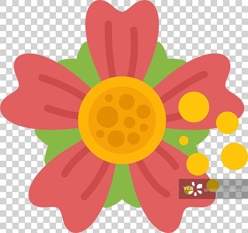 红花正在掉落花瓣，露出黄色的雌蕊。图片素材