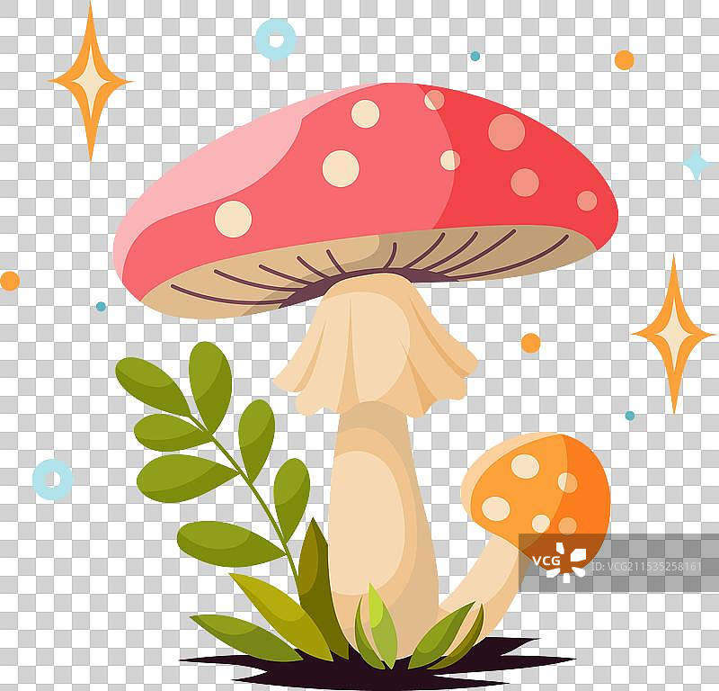 红色平顶苍蝇伞菌图片素材