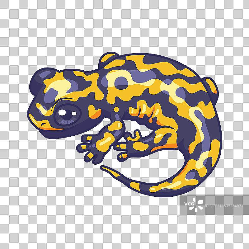 可爱的火蝾螈动物卡通角色图片素材