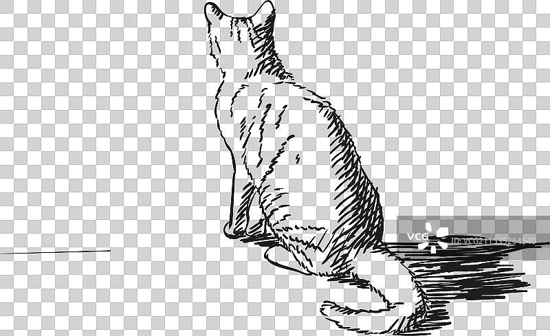 坐着的猫的背面视图手绘图图片素材