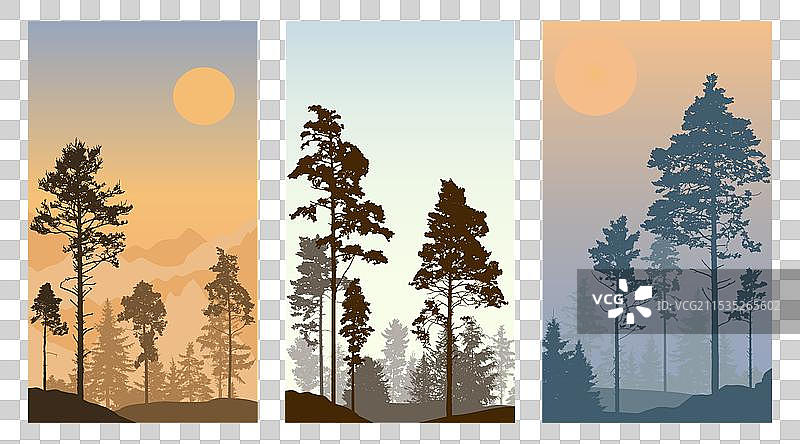 松树的针叶林剪影图片素材