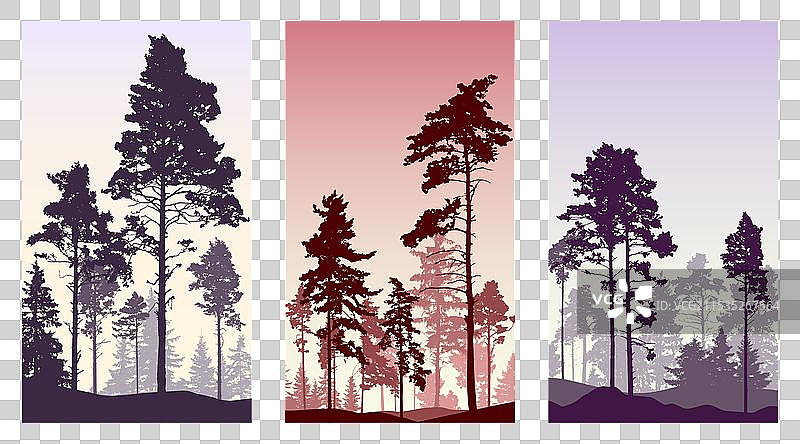 松树的针叶林剪影图片素材