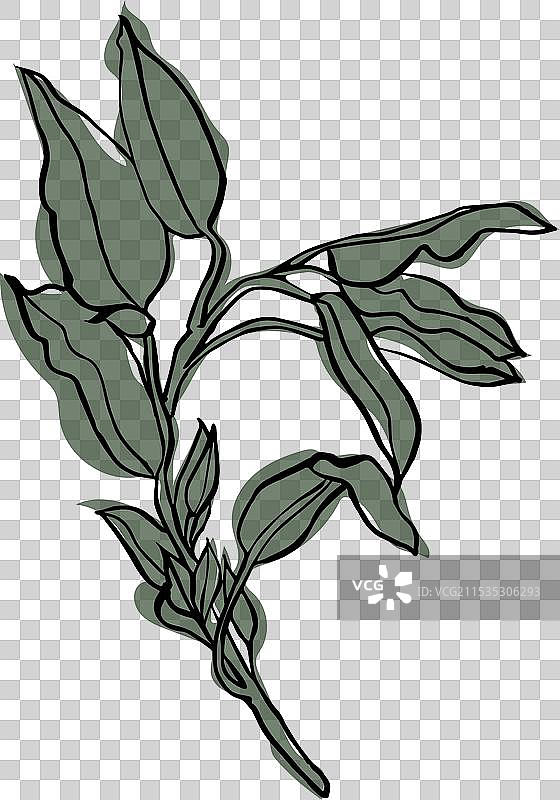 墨水花卉海报与花卉枝艺术图片素材