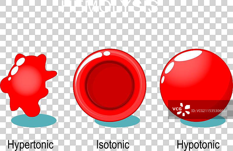 红细胞溶血图片素材