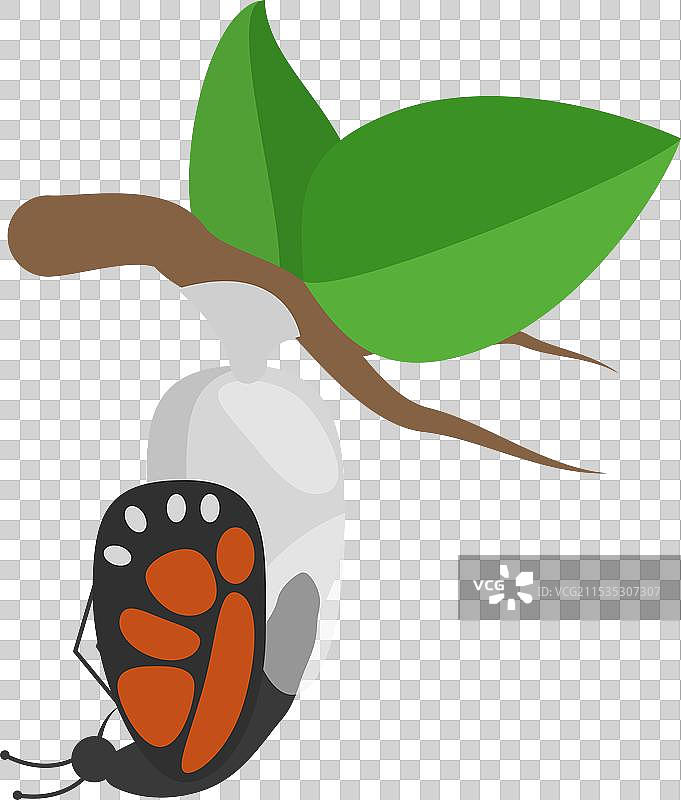 3D等距平面蝴蝶图形图片素材