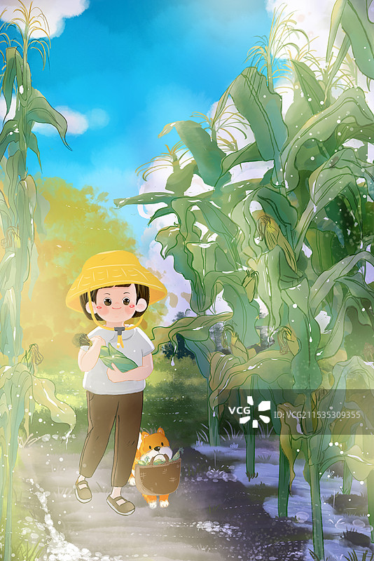 二十四节气白露秋天摘玉米丰收治愈系额嗯插画图片素材