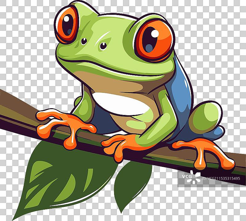 白色背景上孤立的树枝上的青蛙图片素材