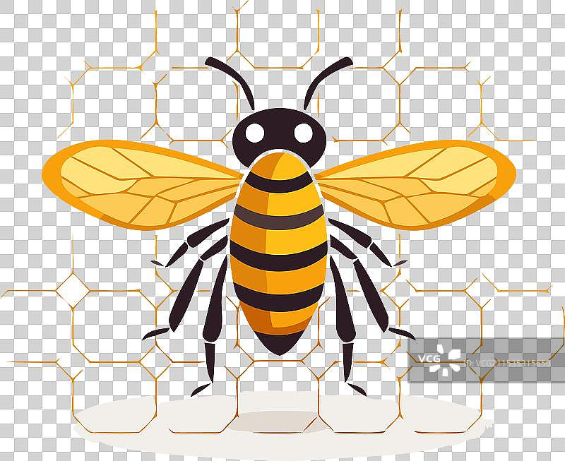 白色背景上的蜂蜜蜂与蜂巢扁平图案图片素材