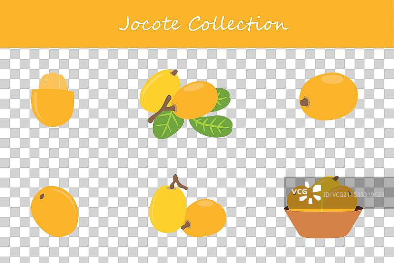 不同姿势的果子狸收集图片素材