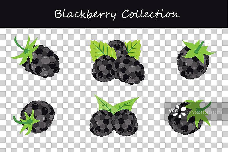 黑莓在不同姿势下的集合图片素材