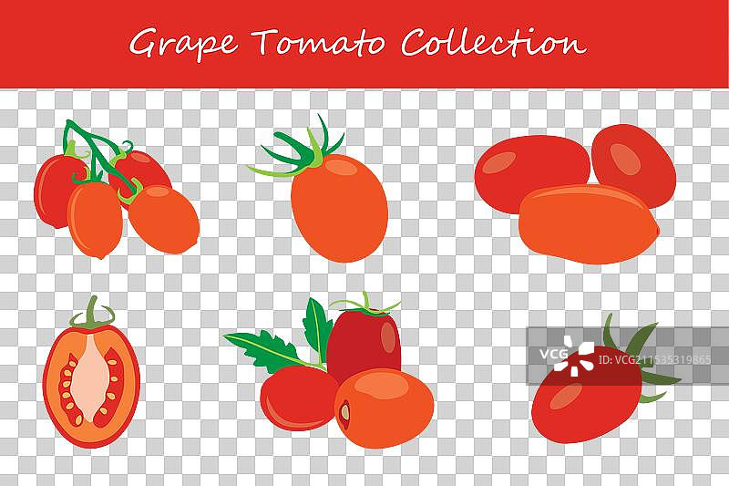 不同姿势的葡萄番茄集合图片素材